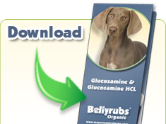 Download our Glucosamine & Glucosamine HCL Brochure