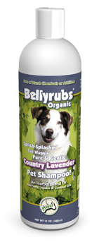 12oz Bellyrubs Shampoo