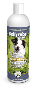 12oz Bellyrubs Shampoo